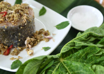 Cá trắm sông Đà hấp loại lá đắng ngắt, khách nhăn mặt rồi gật gù khen ngon