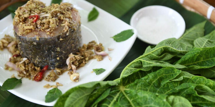 Cá trắm sông Đà hấp loại lá đắng ngắt, khách nhăn mặt rồi gật gù khen ngon