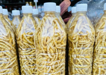 Đặc sản Tây Bắc giá bạc triệu, được ví như ‘thần dược phòng the’