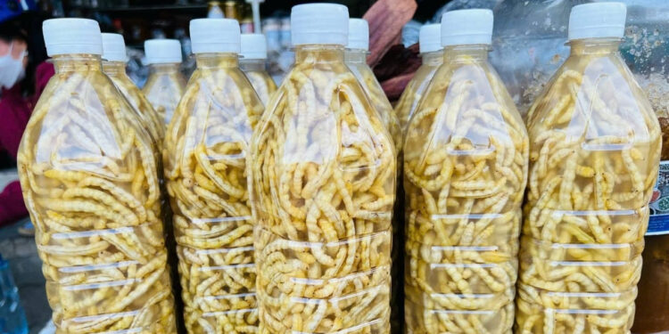 Đặc sản Tây Bắc giá bạc triệu, được ví như ‘thần dược phòng the’