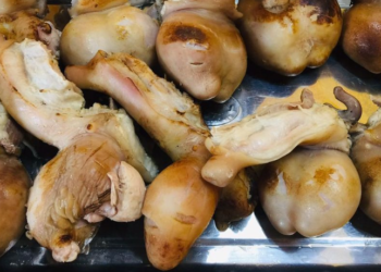 Đặc sản Việt được ví như ‘thần dược phái mạnh’, giá bạc triệu vẫn hút khách mua