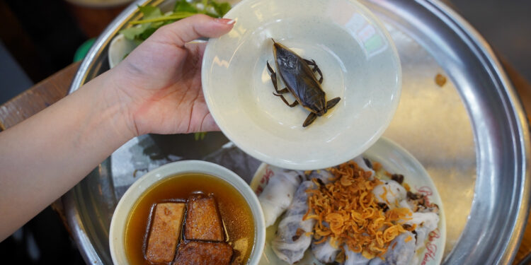 Quán bánh cuốn ăn kèm cà cuống ‘đắt nhất nhì’ Hà Nội, ngày bán ngàn suất