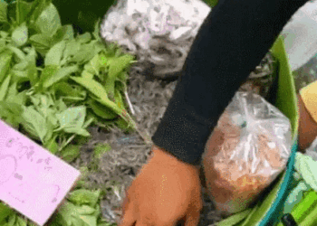 Nếm thử món ‘tép nhảy’, thực khách xuýt xoa khen hương vị tuyệt vời