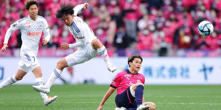 Nhận định soi kèo Albirex Niigata vs Machida Zelvia lúc 17h00 ngày 4/9/2024