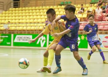 VFF giữ nguyên quyết định kỷ luật SLNA vụ gian lận tuổi