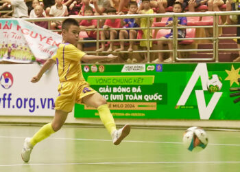 Cơ sở nào để VFF phạt U11 SLNA gian lận tuổi?