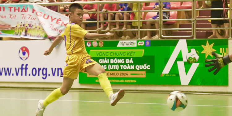 Cơ sở nào để VFF phạt U11 SLNA gian lận tuổi?