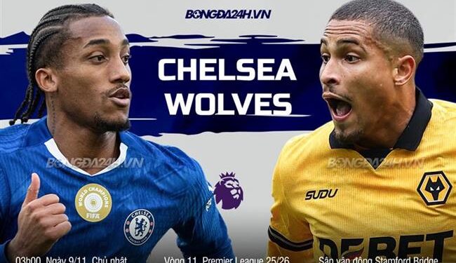 Trực tiếp bóng đá Chelsea vs Wolves 3h00 ngày 9/11 (Ngoại hạng Anh 2025/26)